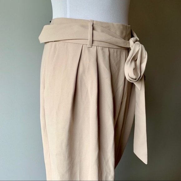 Ellen Tracy Beige Pants - Picture 3 of 8